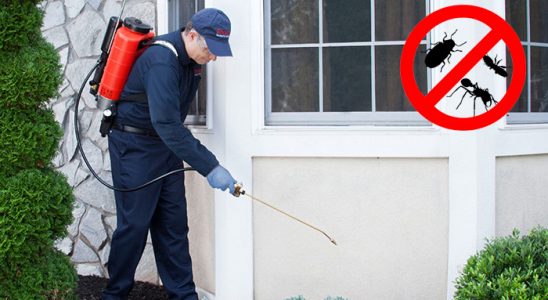 Manisa Hamam Böceği İlaçlama böcek ilaçlama ve haşere kontrolü — ilaclama-tr.com